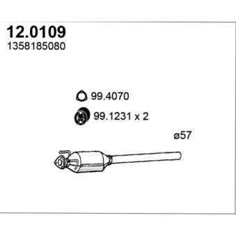 Catalyseur ASSO [12.0109]