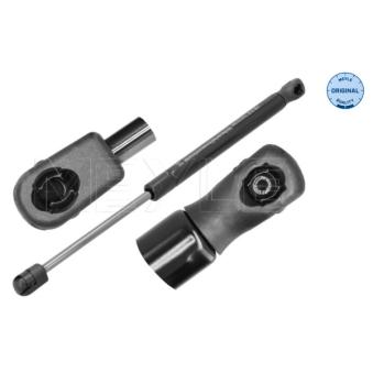 Vérin de hayon, de coffre MEYLE 70-40 910 0005 pour TESLA MODEL X 75D AWD - 525cv