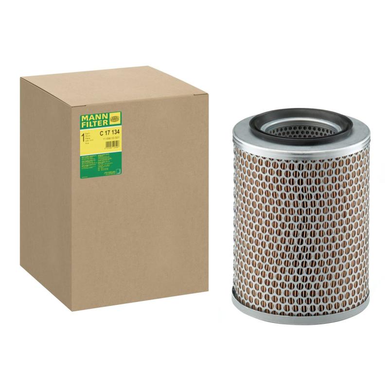 Filtre à air MANN-FILTER C 17 134 - Visuel 1