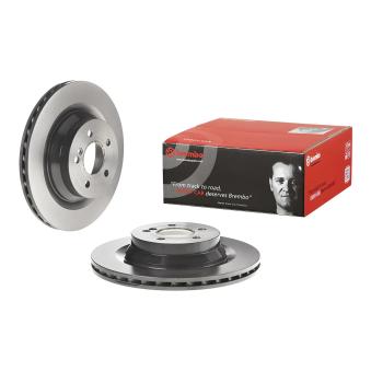 Jeu de 2 disques de frein arrière BREMBO OEM 2194230012
