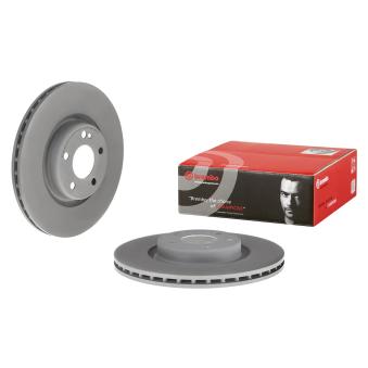Jeu de 2 disques de frein arrière BREMBO [09.D531.13]