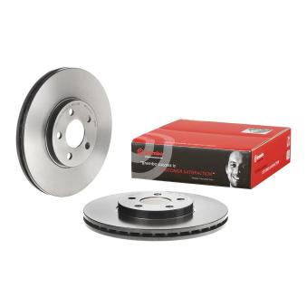 Jeu de 2 disques de frein avant BREMBO [09.9133.81]