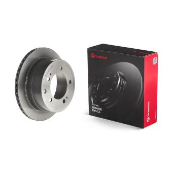 Jeu de 2 disques de frein arrière BREMBO OEM 4243160261
