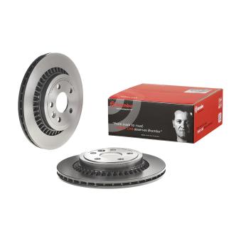 Jeu de 2 disques de frein arrière BREMBO [09.B026.11]
