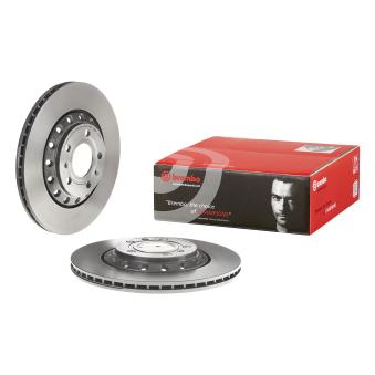 Jeu de 2 disques de frein arrière BREMBO OEM 3D0615601D