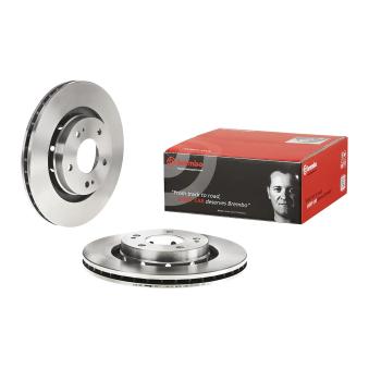 Jeu de 2 disques de frein avant BREMBO [09.A738.14]