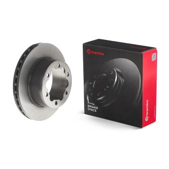 Jeu de 2 disques de frein arrière BREMBO OEM 2E0615601
