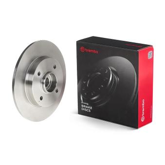 Jeu de 2 disques de frein arrière BREMBO OEM E169506