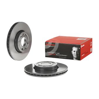 Jeu de 2 disques de frein avant BREMBO OEM 40206ax600 Jeu de 2 disques de frein avant BREMBO OEM 40206ax600
