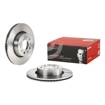Jeu de 2 disques de frein avant BREMBO OEM 1359020