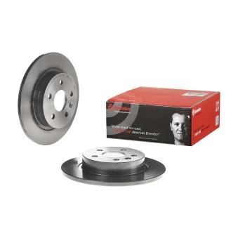 Jeu de 2 disques de frein arrière BREMBO OEM 13505759