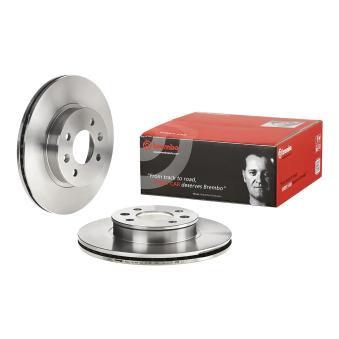 Jeu de 2 disques de frein arrière BREMBO 09.3033.10