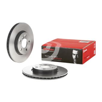 Jeu de 2 disques de frein avant BREMBO [09.C349.11]
