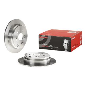 Jeu de 2 disques de frein arrière BREMBO OEM 42510SWWG01