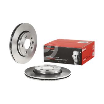 Jeu de 2 disques de frein arrière BREMBO [09.9582.10]
