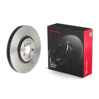 Jeu de 2 disques de frein avant BREMBO OEM LR090685