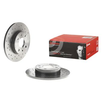 Jeu de 2 disques de frein arrière BREMBO OEM 51885456