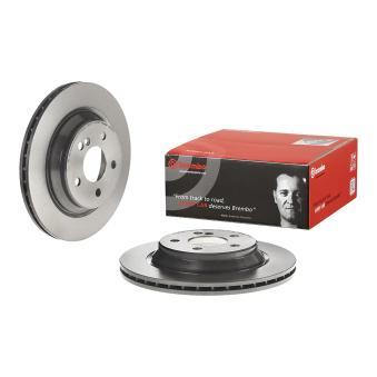Jeu de 2 disques de frein arrière BREMBO [09.9738.11]