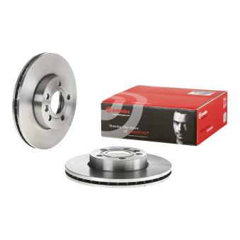 Jeu de 2 disques de frein avant BREMBO 09.6934.14