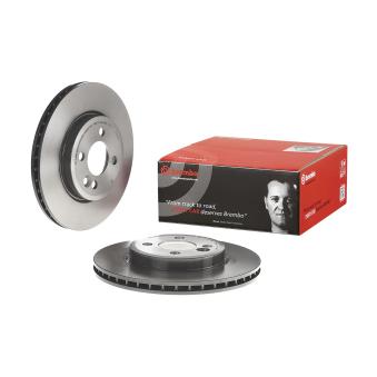 Jeu de 2 disques de frein avant BREMBO [09.A761.11]