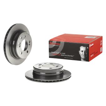 Jeu de 2 disques de frein arrière BREMBO OEM 4840109100