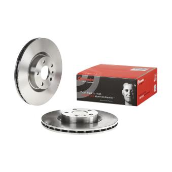Jeu de 2 disques de frein avant BREMBO [09.4939.24]