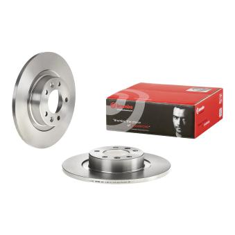 Jeu de 2 disques de frein arrière BREMBO OEM 4249g2