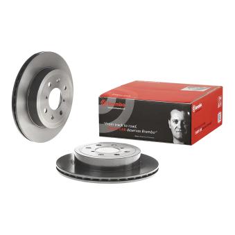 Jeu de 2 disques de frein avant BREMBO OEM 93179462