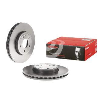Jeu de 2 disques de frein avant BREMBO [09.B436.41]
