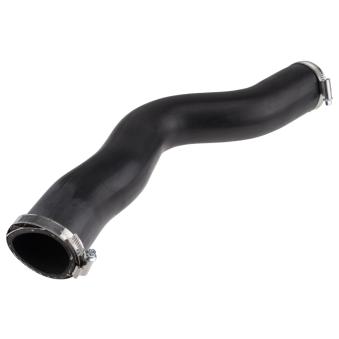 Gaine de suralimentation TEKNÖR OEM 4415432
