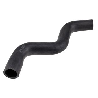 Durite de radiateur TEKNÖR CPP-FT-035 pour FIAT PANDA 1.2 - 69cv