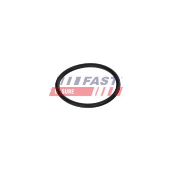 Joint, carter de collecteur d'admission FAST OEM 5Q0129646