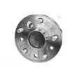 OPTIMAL 982306 - Roulement de roue arrière