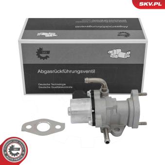 Vanne EGR ESEN SKV [14SKV319]