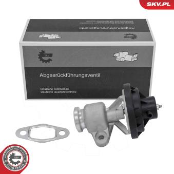 Vanne EGR ESEN SKV 14SKV321