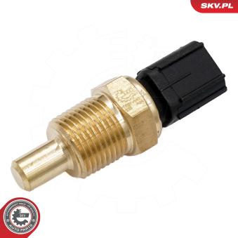 Capteur, niveau de liquide de refroidissement ESEN SKV [17SKV843]