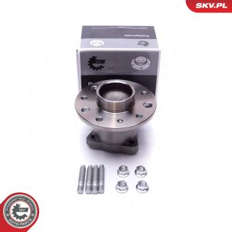 Roulement de roue arrière ESEN SKV OEM 9117760 Roulement de roue arrière ESEN SKV OEM 9117760