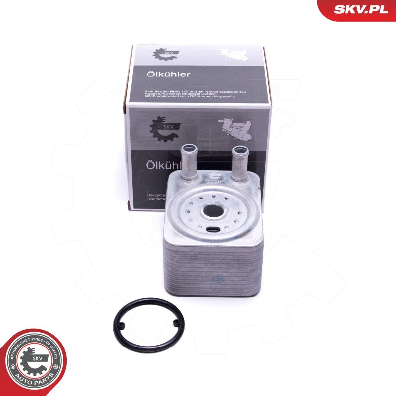 Radiateur d'huile ESEN SKV 31SKV208 - Visuel 2