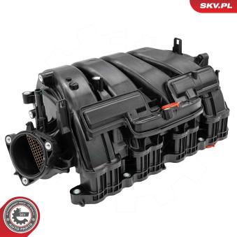 Module de tube d'admission ESEN SKV [49SKV092]