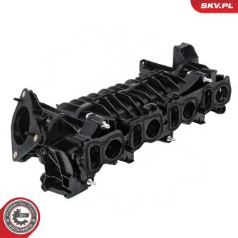 Module de tube d'admission ESEN SKV [49SKV094]