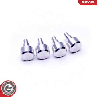 Kit de réparation, module de tube d’aspiration ESEN SKV 49SKV547