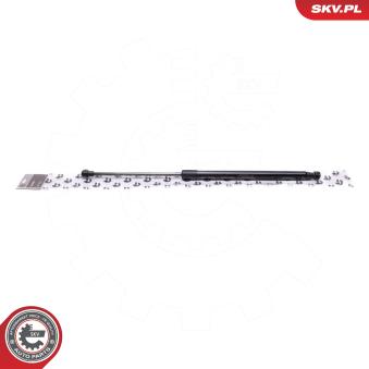 Vérin de hayon, de coffre ESEN SKV 52SKV773 pour BMW Série 3 2.7 TD 4x4 - 190cv