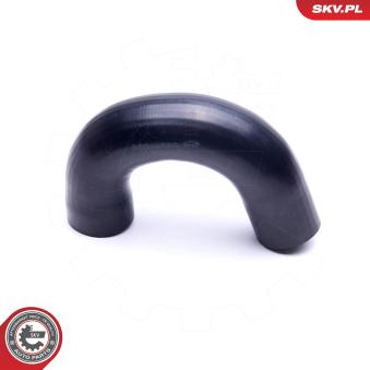 Gaine de suralimentation ESEN SKV 54SKV016 pour RENAULT MEGANE 1.9 D Multijet - 150cv