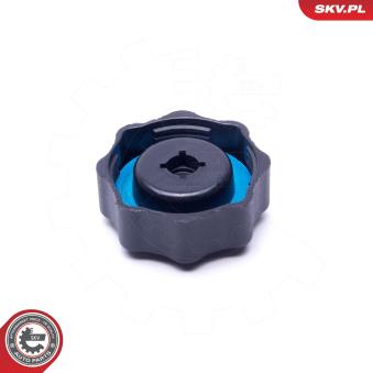 Bouchon, réservoir de liquide de refroidissement ESEN SKV 61SKV016
