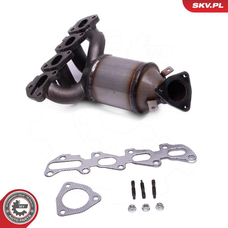 Catalyseur ESEN SKV 62SKV021 - Visuel 1