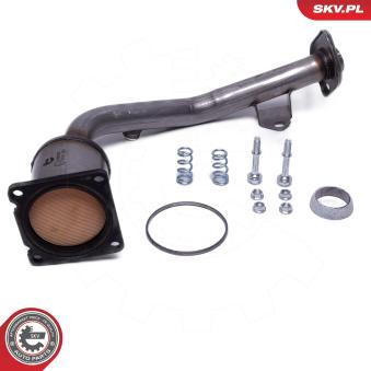 Catalyseur ESEN SKV OEM 1731HT Catalyseur ESEN SKV OEM 1731HT