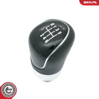 Pommeau de vitesses ESEN SKV 63SKV033 pour RENAULT TWINGO 1.6 Ti - 110cv