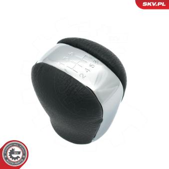 Pommeau de vitesses ESEN SKV 63SKV081 pour RENAULT MASTER PRO 2.2 Di - 110cv Pommeau de vitesses ESEN SKV 63SKV081 pour RENAULT MASTER PRO 2.2 Di - 110cv