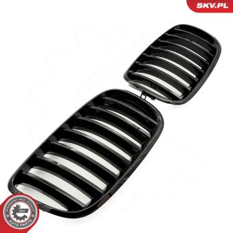 Grille de radiateur ESEN SKV 66SKV282 pour BMW X5 xDrive 35 i - 306cv