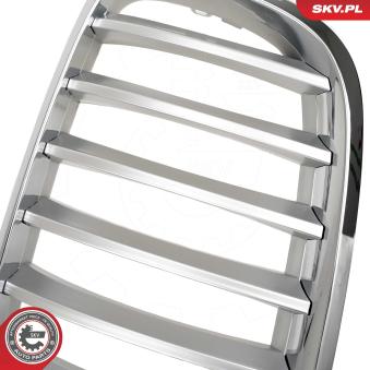 Grille de radiateur ESEN SKV 66SKV285 pour BMW X5 xDrive 35 i - 306cv